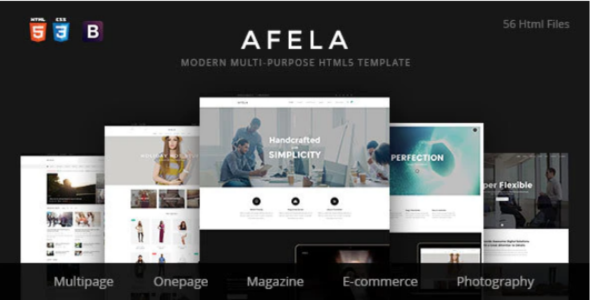 Afela Flexible Multi-Purpose HTML Template