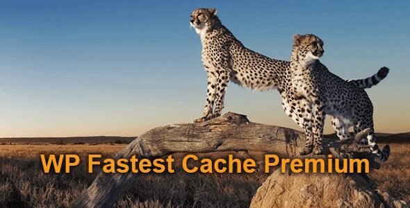 WP Fastest Cache WordPress Plugin