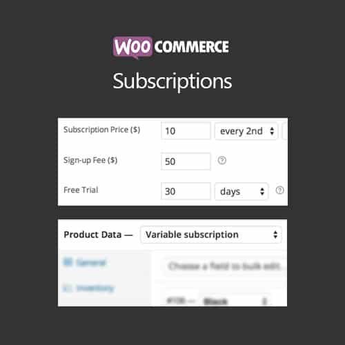 WooCommerce Subscriptions Plugin