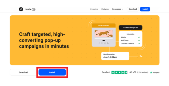 WPMU DEV Hustle Plugin